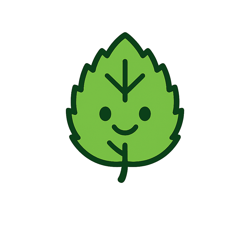 Kitchen appliances and countertop essentials